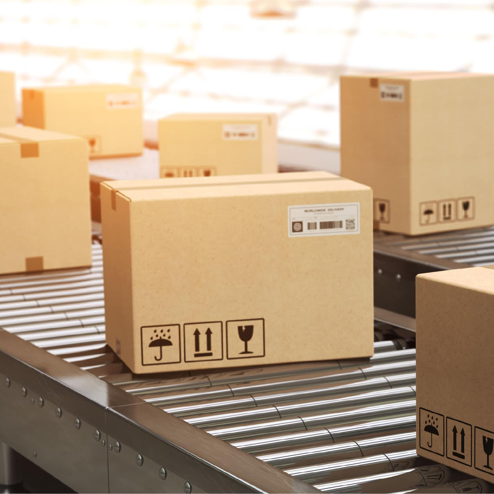 Packaging Industry